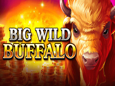 Casinofiz.com