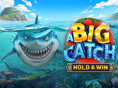 Bac bo